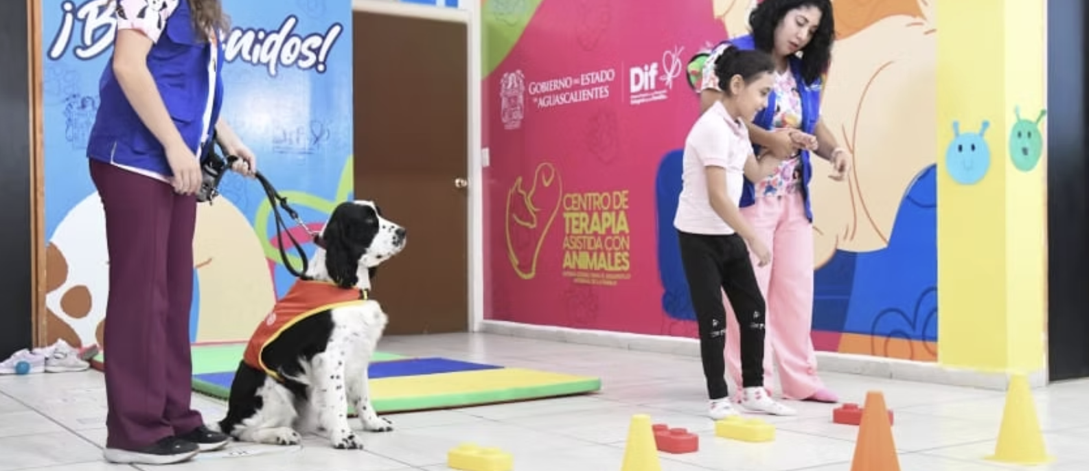 ANIMALES QUE CAMBIAN VIDAS: CONOCE EL CENTRO DE TERAPIA ASISTIDA DEL DIF ESTATAL, PIONERO A NIVEL NACIONA